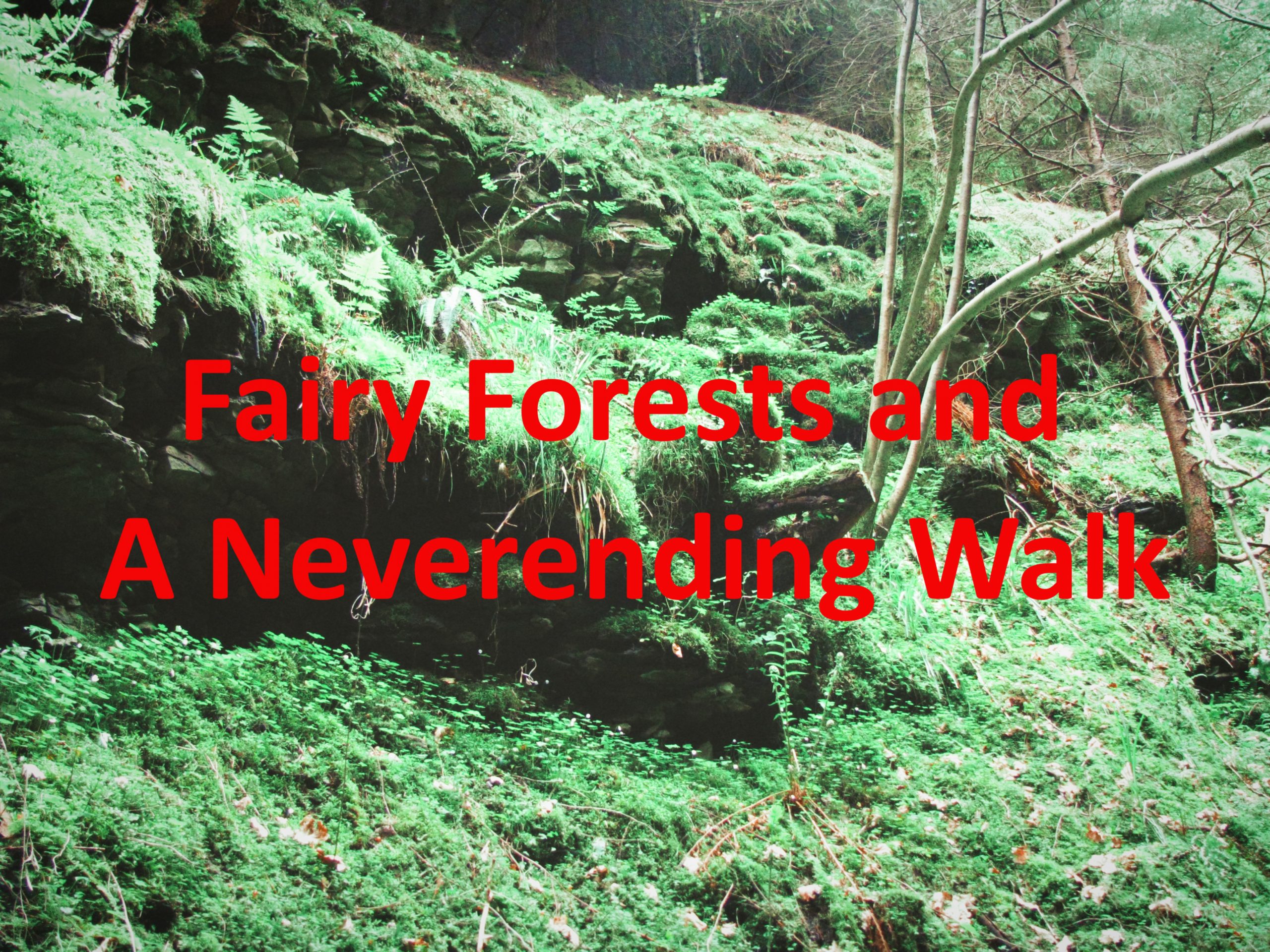 Fairy Forests and Neverending Walks